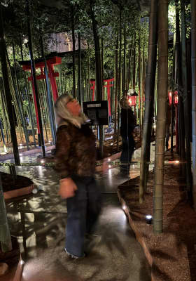 Photo 7 from IKONO Madrid