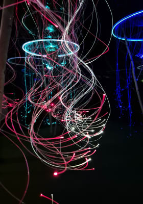 Photo 5 from IKONO Berlin