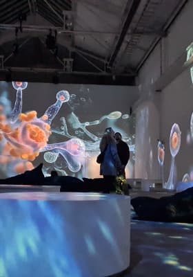 Photo 5 from Reinbeckhallen