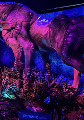 Photo 5 from Espacio Delicias