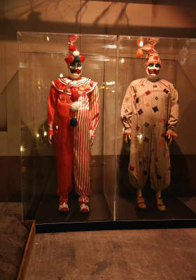 Photo 7 from RDS Ring Hall