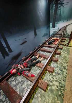 Photo 8 from RDS Ring Hall