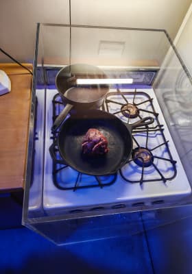 Photo 5 from RDS Ring Hall