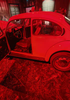 Photo 4 from RDS Ring Hall