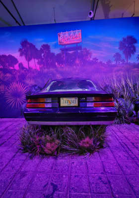 Photo 1 from RDS Ring Hall