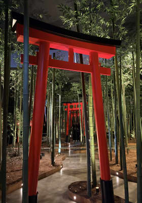 Photo 3 from IKONO Madrid