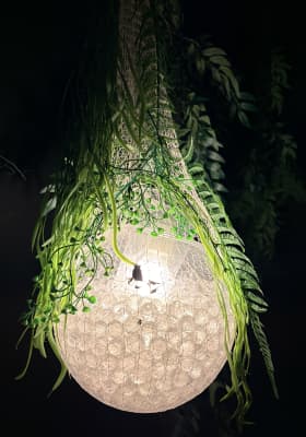 Photo 2 from IKONO Madrid