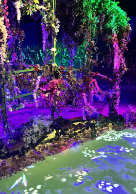 Photo 6 from Studio 24