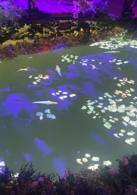 Photo 3 from Studio 24