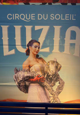 Photo 3 from Bajo la Gran Carpa en Gulfstream Park