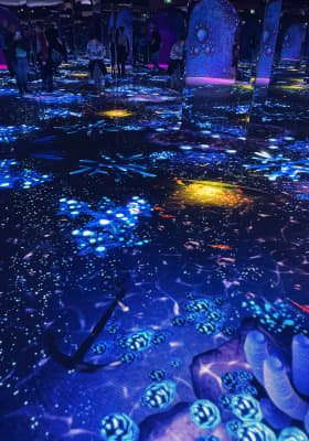 Photo 8 from Place Bonaventure