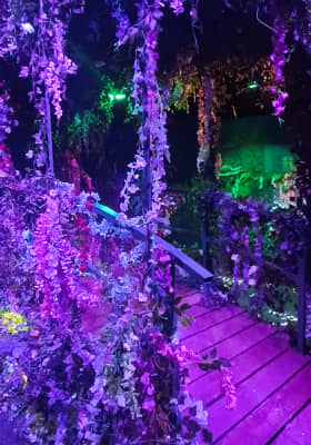 Photo 1 from Studio 24