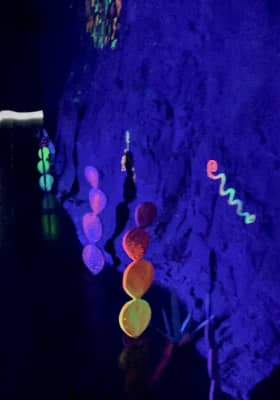 Photo 6 from IKONO Barcelona