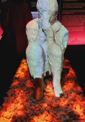 Photo 8 from IDEAL Montjuïc