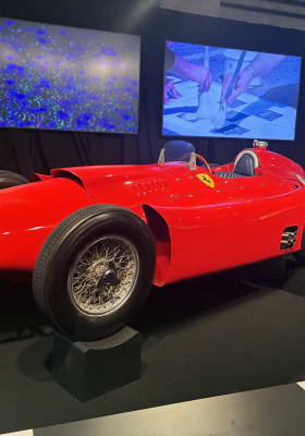 Photo 15 from Plaza Punta Museo