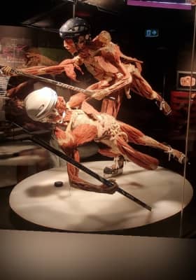 Photo 7 from The District Docklands