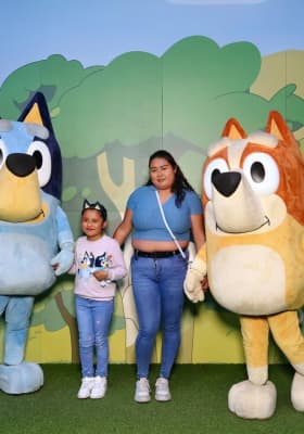 Photo 2 from Perisur