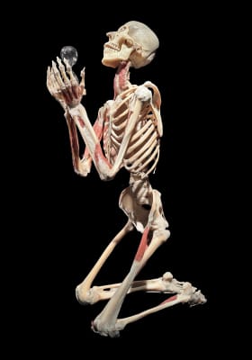 Photo 5 from The District Docklands