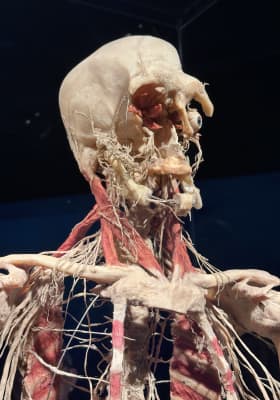 Photo 4 from The District Docklands