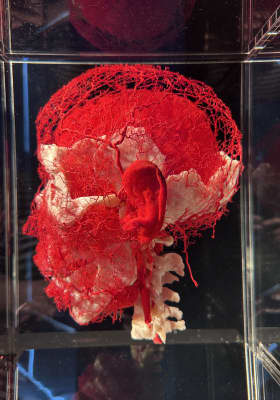 Photo 3 from The District Docklands