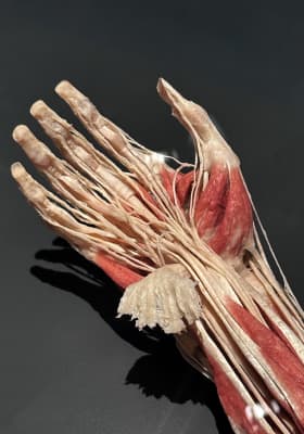 Photo 2 from The District Docklands