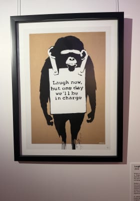 Photo 5 from The Rocks