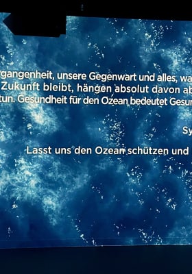 Photo 7 from Port des Lumières