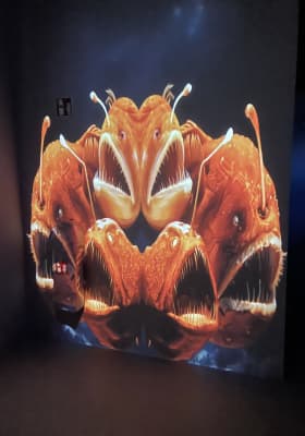 Photo 6 from Port des Lumières