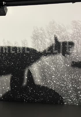 Photo 5 from Port des Lumières