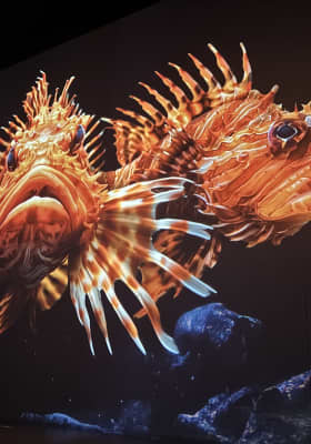 Photo 2 from Port des Lumières