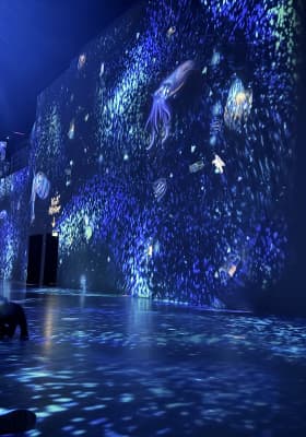 Photo 1 from Port des Lumières