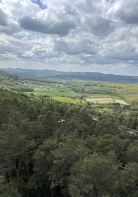 Photo 8 from Chemin des Cimes Alsace