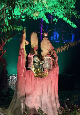 Photo 9 from Parque Quinta Normal