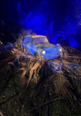 Photo 8 from Parque Quinta Normal