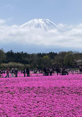 Photo 2 from Fuji Motosuko Resort