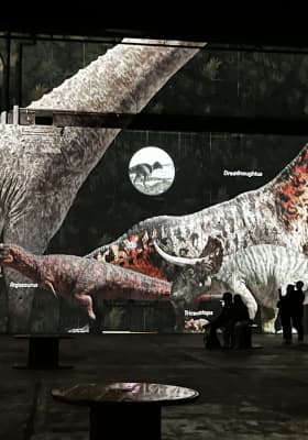 Photo 4 from Phoenix des Lumières