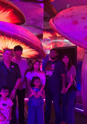 Photo 6 from Centro Convex