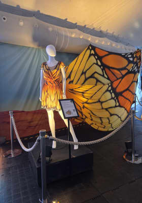 Photo 5 from Bajo la Gran Carpa en Gulfstream Park