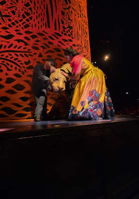 Photo 3 from Bajo la Gran Carpa en Gulfstream Park