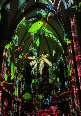 Photo 3 from Basílica Imaculada Conceição