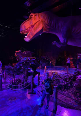 Photo 3 from Fever Skygate | Exhibition and Immersive Experience centre