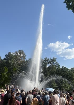 Photo 6 from Fuentes de la Granja