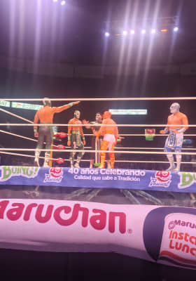 Photo 3 from Arena México