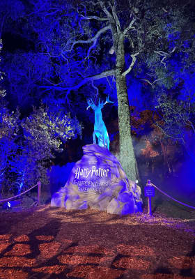 Photo 5 from Jorgensen Park