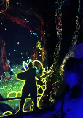 Photo 11 from Lucid Dream Exhibition