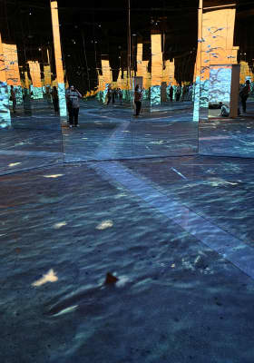 Photo 8 from Phoenix des Lumières