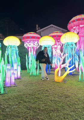 Photo 2 from Brinca Luminous