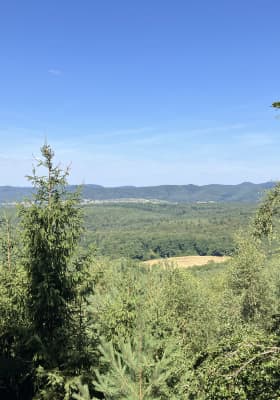 Photo 6 from Chemin des Cimes Alsace