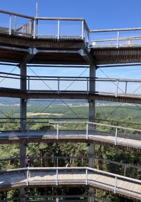 Photo 5 from Chemin des Cimes Alsace