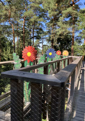 Photo 1 from Chemin des Cimes Alsace